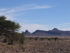 Mhamid Chegaga