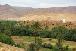 Palmeraie Tinghir