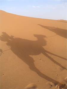 Dunes de Merzouga