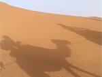 Merzouga